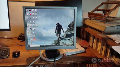 Monitor Samsung Sinc Master 920N 21 pollici