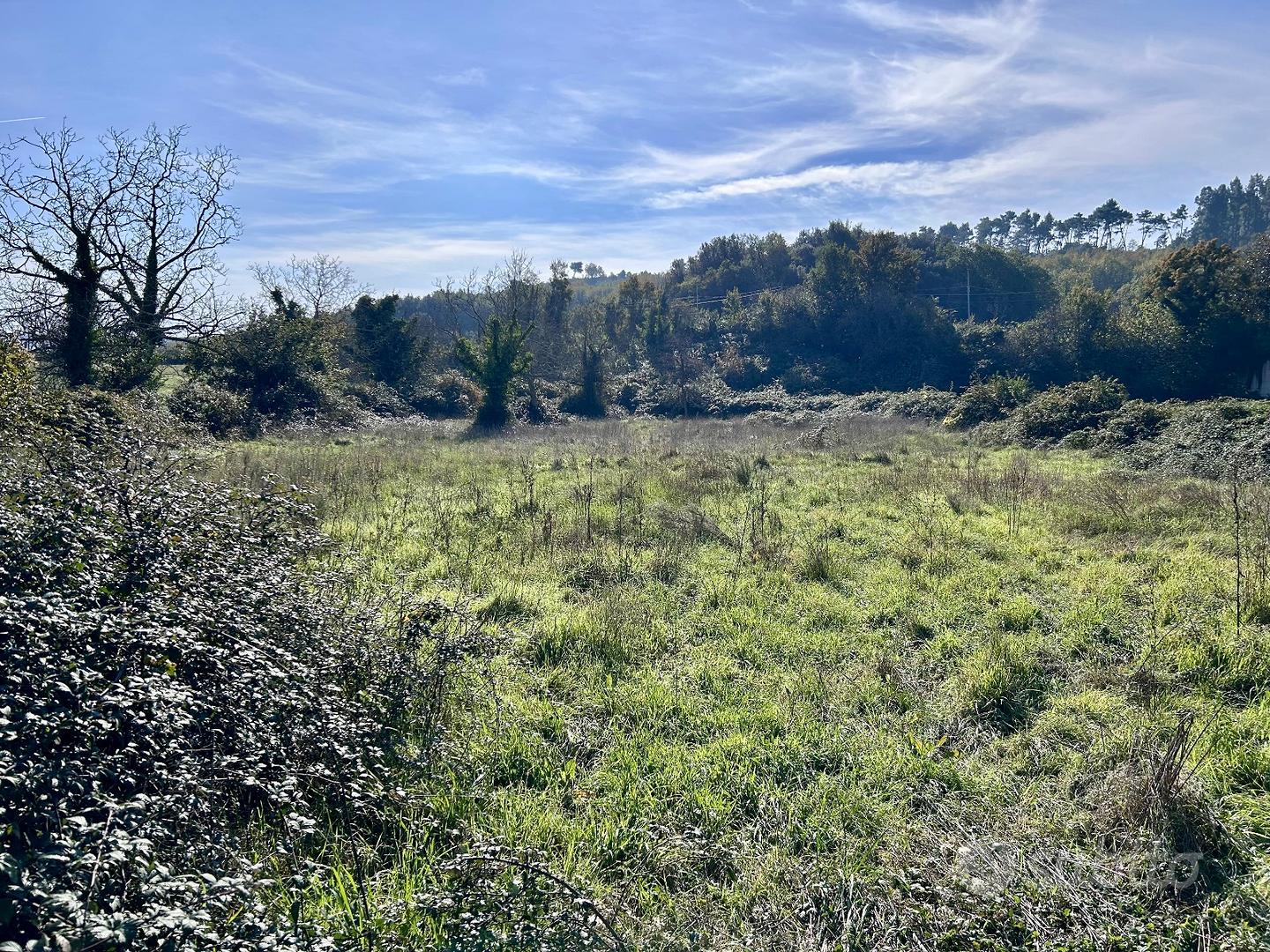 TERRENO 3.420 mq POSIZIONE STRATEGICA Ca - Altro