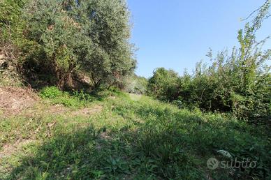 TER. AGRICOLO A RODENGO SAIANO