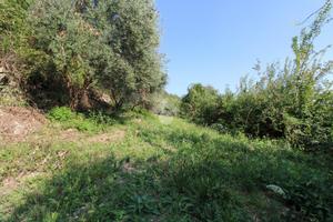 TER. AGRICOLO A RODENGO SAIANO