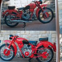 Moto Guzzi Altro modello - 1949