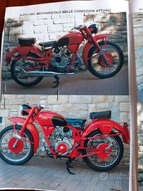 Moto Guzzi Altro modello - 1949