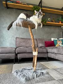 Tiragraffi per gatti in legno naturale