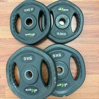 Dischi gommati palestra