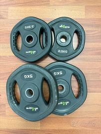 Dischi gommati palestra