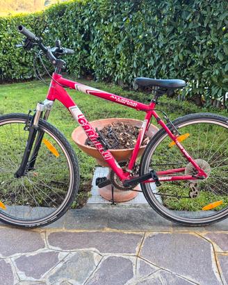 carnielli all road