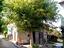 Immagine 20