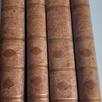 I mammiferi, gli insetti, gli uccelli, I moluschi