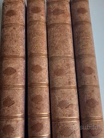 I mammiferi, gli insetti, gli uccelli, I moluschi