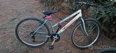bici mtb 24 donna