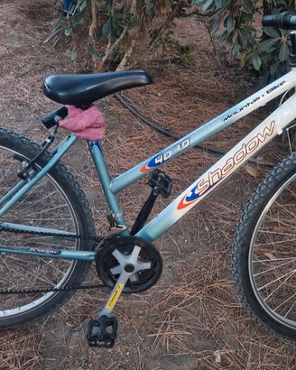bici mtb 24 donna