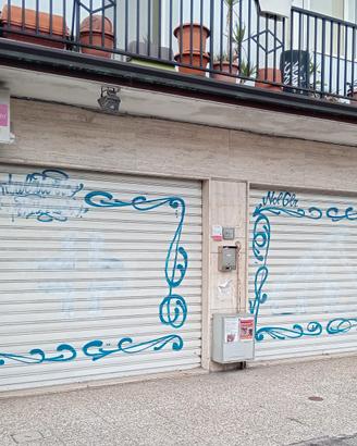 saracinesca  garage-negozio, elettriche 