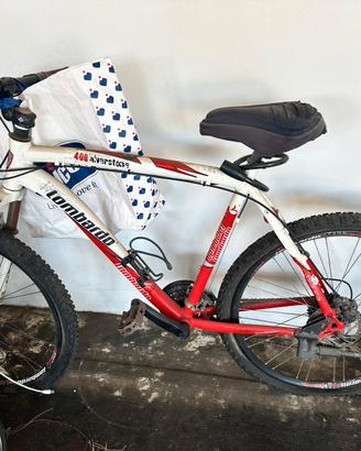 Bicicletta lombardo