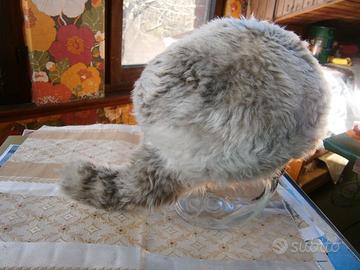 colbacco  pelliccia David Cockett bambino anni'70