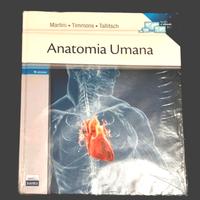 Anatomia Umana