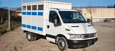 IVECO 35C12 Trasporto Animali Bestiame e cose 