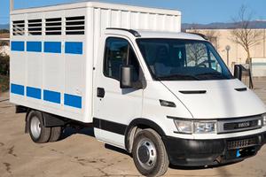 IVECO 35C12 Trasporto Animali Bestiame e cose 