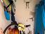 Immagine 19