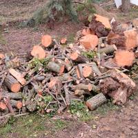 Legna per camino o stufa