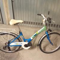 bicicletta da ragazza 