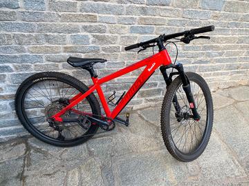 MTB  muscolare Ghost 