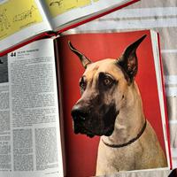 Enciclopedia dei Cani