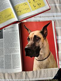 Enciclopedia dei Cani