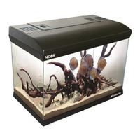 Acquari vari litraggi