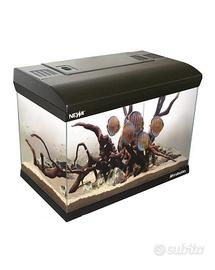 Acquari vari litraggi