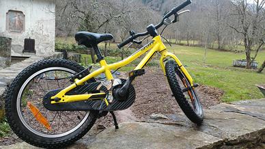 bicicletta bambino