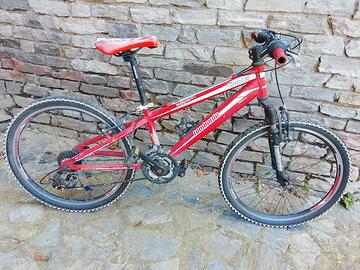 bici Mountain bike bambino