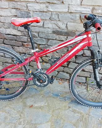 bici Mountain bike bambino