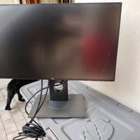monitor dell 24 pollici 