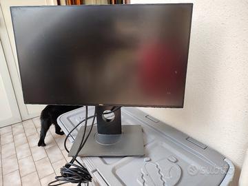 monitor dell 24 pollici 