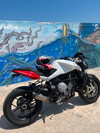 Mv augurata brutale 800