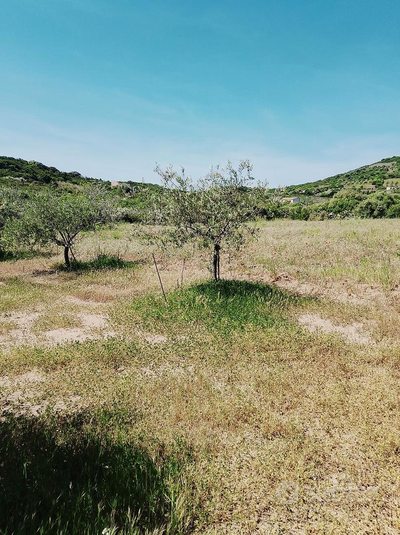 Terreno Malafama - Vista 4