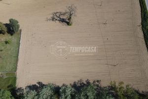 Terreno Agricolo Pianeggiante