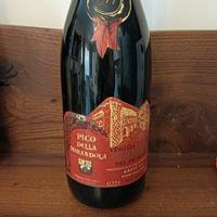 Nebbiolo Pico della mirandola