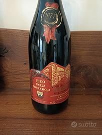 Nebbiolo Pico della mirandola