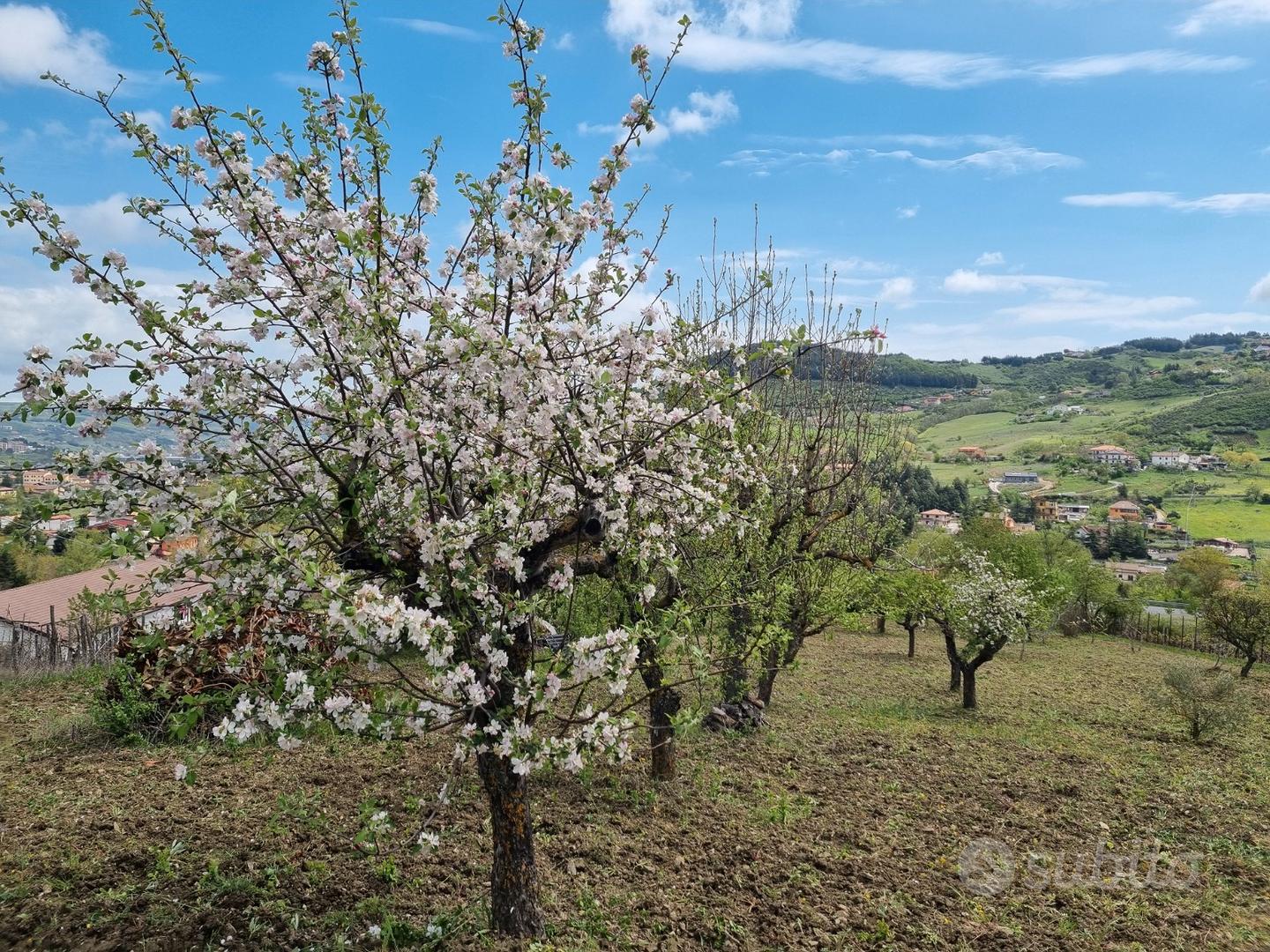 Terreno a Potenza - Vista 2