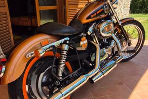 Harley Davidson XL 1200 custom