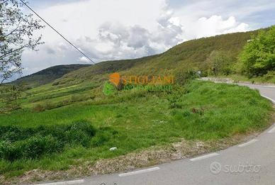 Terreno edificabile, Strada Provinciale 42 - Busso