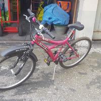 Bicicletta Silver Star