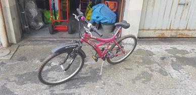 Bicicletta Silver Star