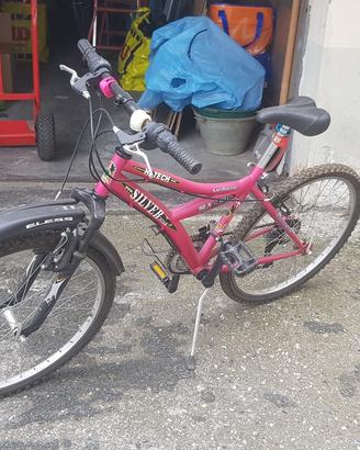 Bicicletta Silver Star