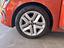 Immagine 7