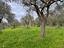 Immagine 14