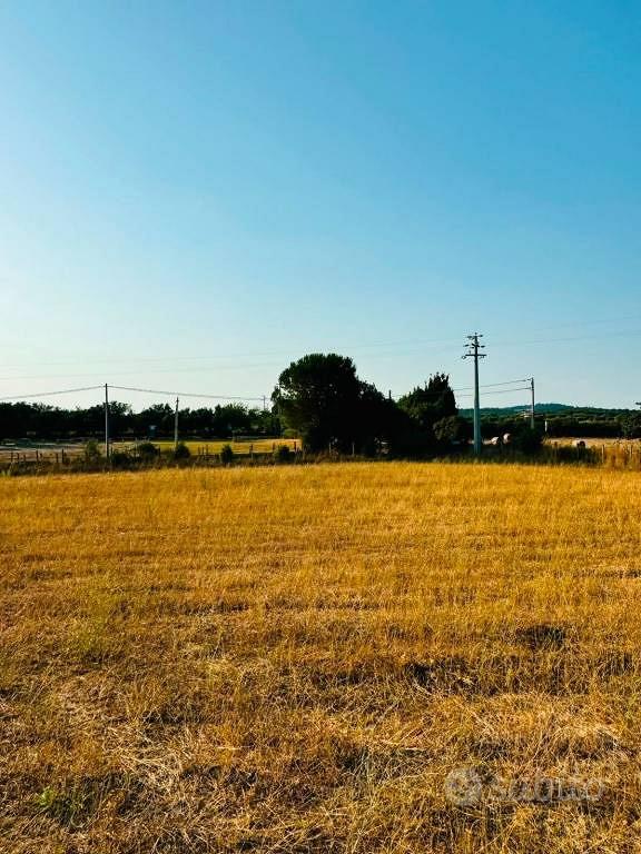 Terreno di 9000 m² a Bracciano - Vista 4