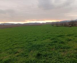 Terreno agricolo coltivato a prato 11.000 metri