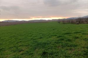 Terreno agricolo coltivato a prato 11.000 metri